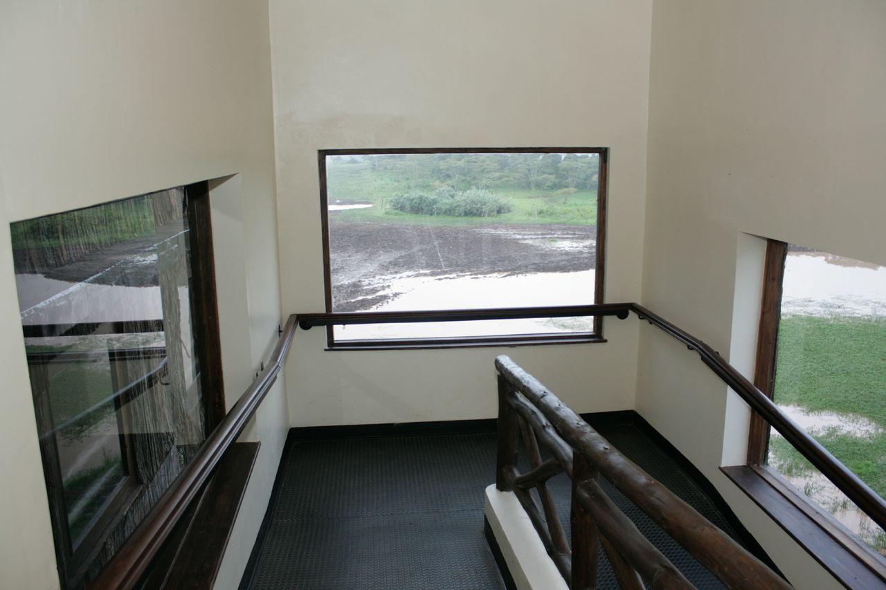 Treetops Mweiga المظهر الخارجي الصورة